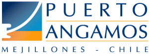 Puerto Angamos